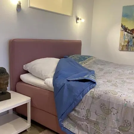 Apartment Penthouse Mit Domblick - Ueber Den Daechern Speyers *