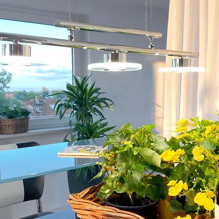 Penthouse Mit Domblick - Ueber Den Daechern Speyers